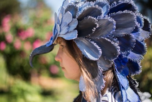 Shooting Aigle Harpie - N26_1892R23web